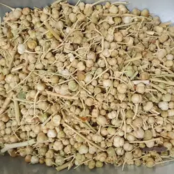 اسفند نخودی (اسپند نخودی - اسفند با پوست) - 250 گرم
