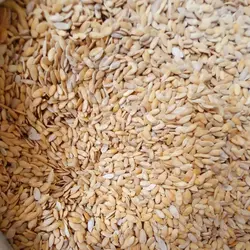 بذر خربزه (تخم خربزه) خوراکی - 250 گرم