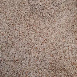 اسفرزه هندی - 250 گرم 
