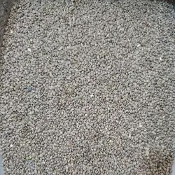 بذر مرو (بذر مرمشک - تخم مرو) - 250 گرم