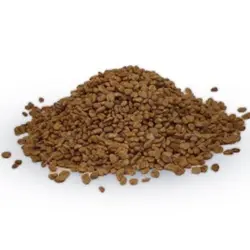 بذر شاهتره (بذر شاتره - تخم شاتره) - 500 گرم