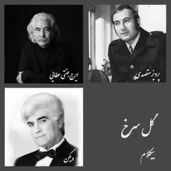 موسیقی بیکلام- گل سرخ