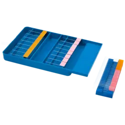 سینی رنگ‌آمیزی با جای لام شیاردار Staining Tray with Slide Holder - شرکت مدیا طب انشان