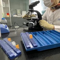 سینی رنگ‌آمیزی با جای لام شیاردار Staining Tray with Slide Holder - شرکت مدیا طب انشان