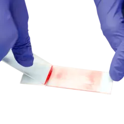 لام میکروسکوپ Microscope Slide - شرکت مدیا طب انشان