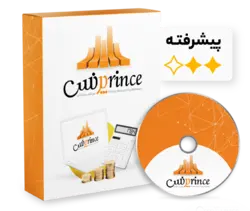 نرم افزار حسابداری فروشگاهی و شرکتی پرنس (پیشرفته) - برزین شاپ