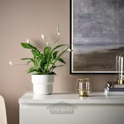 جا شمعی وارمر ایکیا مدل IKEA PÄRLBAND