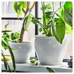 گلدان گیاه ایکیا مدل IKEA AMBRARÖNN