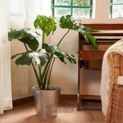 گلدان گیاه ایکیا مدل IKEA ÅKERBÄR رنگ داخل/خارج/گالوانیزه