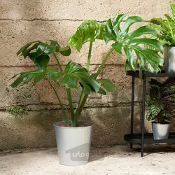 گلدان گیاه ایکیا مدل IKEA ÅKERBÄR رنگ داخل/خارج/گالوانیزه