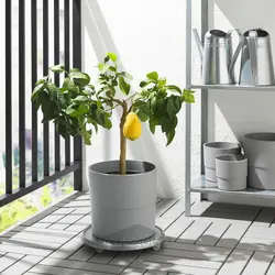 گلدان گیاه ایکیا مدل IKEA NYPON رنگ داخل/خارج خاکستری