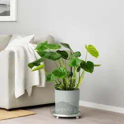 گلدان گیاه ایکیا مدل IKEA NYPON رنگ داخل/خارج خاکستری