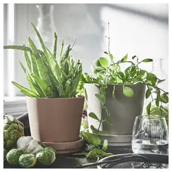 گلدان گیاه با نعلبکی ایکیا مدل IKEA KLARBÄR رنگ داخل/خارج قهوه ای