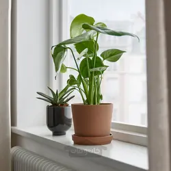 گلدان گیاه با نعلبکی ایکیا مدل IKEA KLARBÄR رنگ داخل/خارج قهوه ای