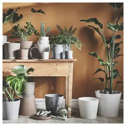 گلدان گیاه با نعلبکی ایکیا مدل IKEA KLARBÄR رنگ داخل/خارج قهوه ای