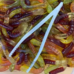 پاستیل جعبه ای جلکسی الوان 600 گرم Jelaxy