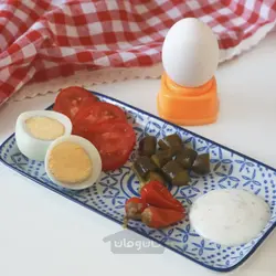 تخم مرغ سوراخ کن