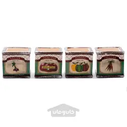 گلدان مکعبی طرح سبزیجات