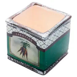 گلدان مکعبی طرح سبزیجات