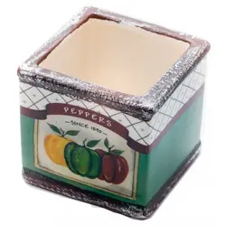 گلدان مکعبی طرح سبزیجات