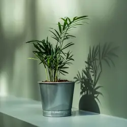 گلدان گیاه گالوانیزه ایکیا مدل BINTJE IKEA