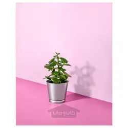 گلدان گیاه گالوانیزه ایکیا مدل BINTJE IKEA