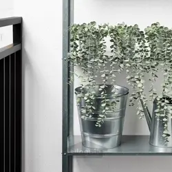 بوته آویز اکالیپتوس ایکیا 9 سانتیمتر مدل FEJKA IKEA