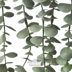 بوته آویز اکالیپتوس ایکیا 9 سانتیمتر مدل FEJKA IKEA