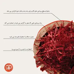 زعفران نگین لوکس باکس 10گرمی