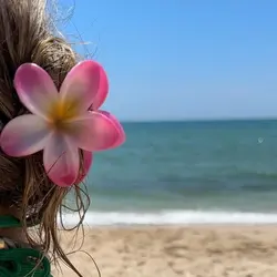 کلیپس پینترستی (پلومریا)مات - ژیانو استور