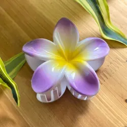 کلیپس پینترستی (پلومریا)مات - ژیانو استور