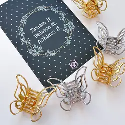 کلیپس پروانه زایا - ژیانو استور