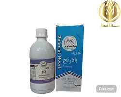 معجون 4 گیاه بادرنج - سانا عطار