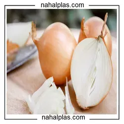 بذر پیاز سایروس