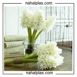 بذر سنبل سفید