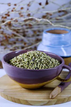 تخم گشنیز بسته 100گرمی