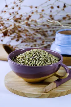 تخم گشنیز بسته 100گرمی