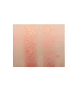 رژگونه استیکی فنتی بیوتی رنگ تریپلین