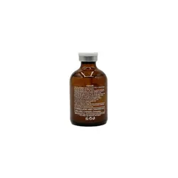 ویال صافی و شاین جونیوری