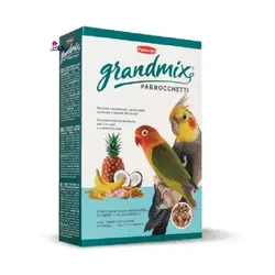 غذای عروس هلندی، طوطی برزیلی و سایر طوطی سانان کوچک پادوان