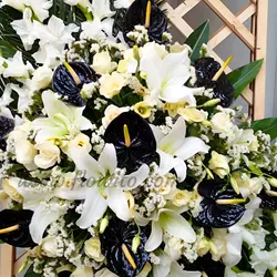 تاج گل آنتوریوم مشکی کد 23 - گل فروشی آنلاین فلاویتو