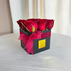 خرید باکس گل رز هلندی عاشقانه | گل فروشی آنلاین فلاویتو