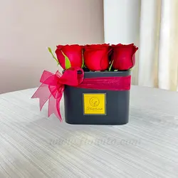 خرید باکس گل رز هلندی عاشقانه | گل فروشی آنلاین فلاویتو