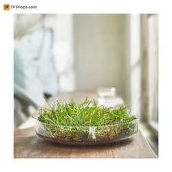 شمع معطر با رایحه چمن تازه ایکیا بسته 30 عددی مدل HEDERSAM