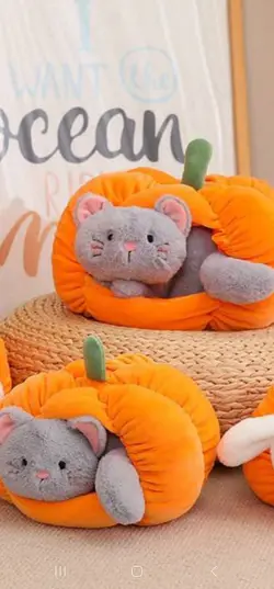 عروسک‌گربه و کدو