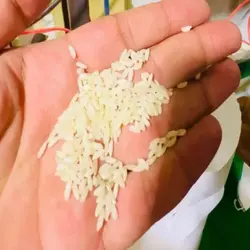 برنج عنبر بو جنوب لیزر شده ۱۰ کیلویی بهیج - بازار عمده فروشی آرمان