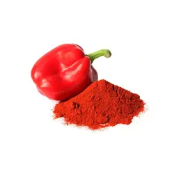 پودر پاپریکا یک کیلویی - بازار عمده فروشی آرمان