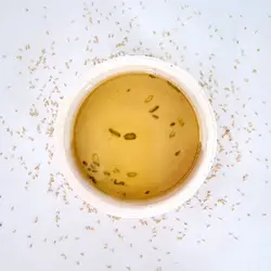 حلوا ارده 250 گرمی - بازار عمده فروشی آرمان