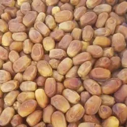 خرمای خشک زاهدی - بازار عمده فروشی آرمان