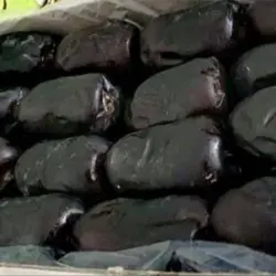 خرمای مضافتی درجه 1 - بازار عمده فروشی آرمان